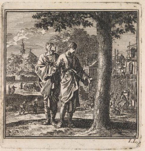 Two men examining a tree