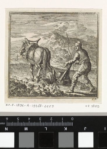Man ploughing a field