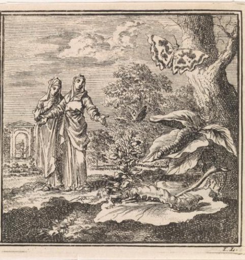 Two women looking at caterpillars and butterflies