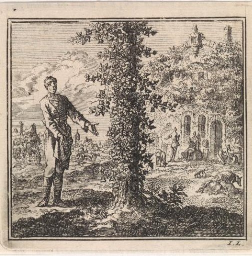 Man viewing a tree covered in ivy