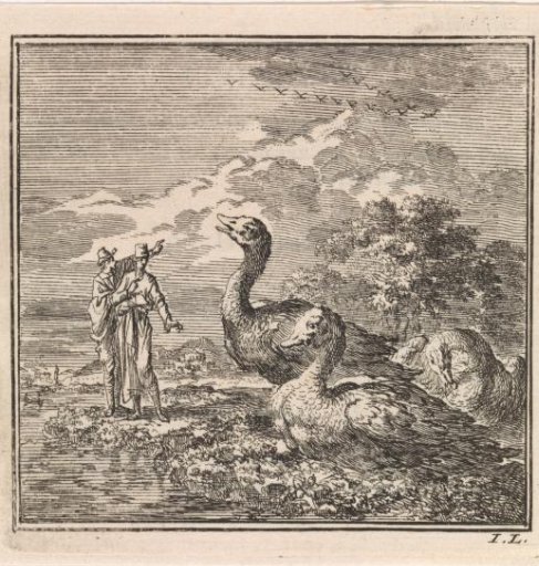 Two men looking at wild geese