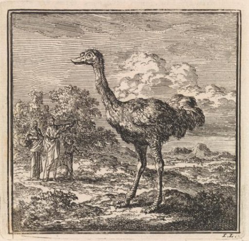 Several figures looking at an ostrich