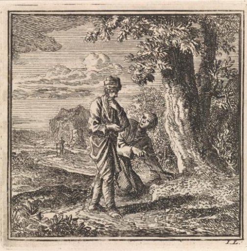 Two men examining an anthill