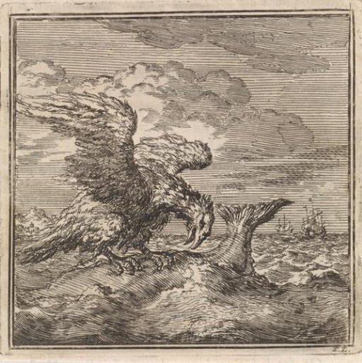 Eagle with its claws in the back of a large fish