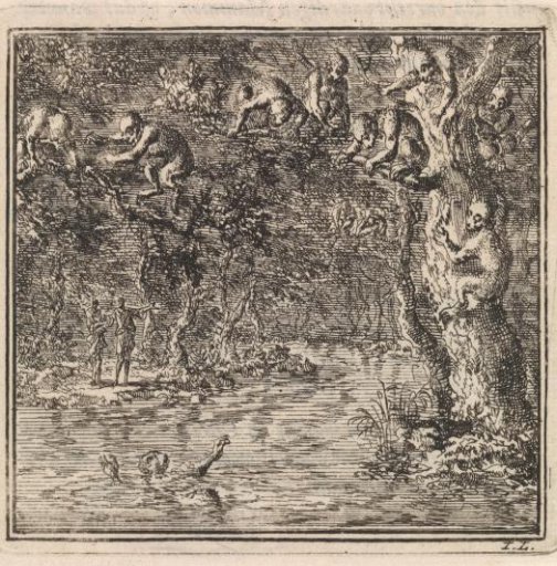 Monkeys watching from a tree as their fellow creature threatens to drown
