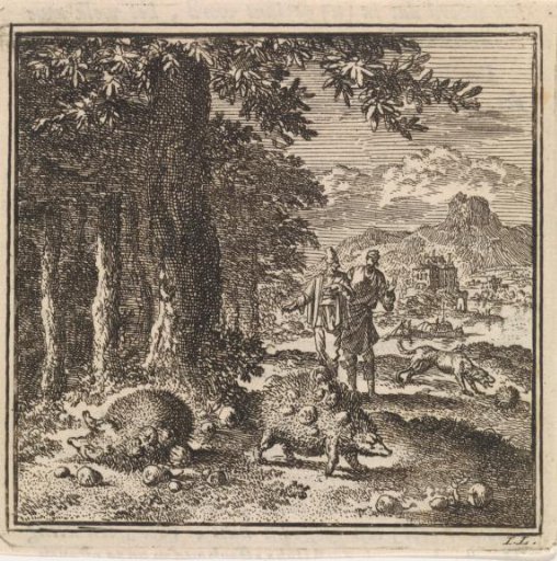 Three hedgehogs at the edge of a forest