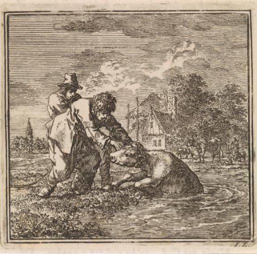 Two men pushing a calf into the ditch