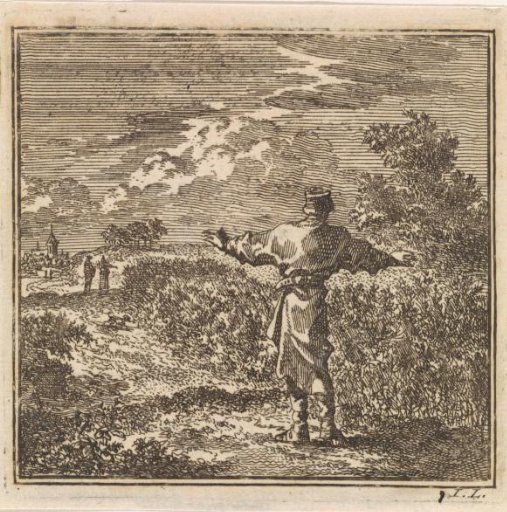 Man looking out over a rape field