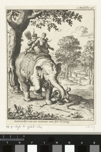 Elephant tramples his keeper