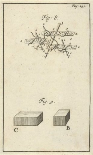 Action of acid on the blood, fig. 8 and 9