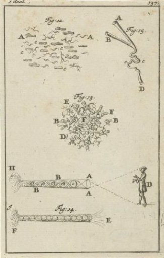 Four illustrations relating to sight