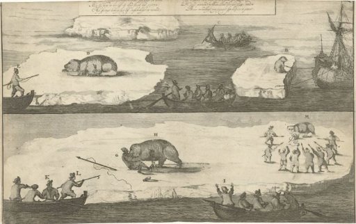 Hunt for a polar bear / polar bear attacks a man