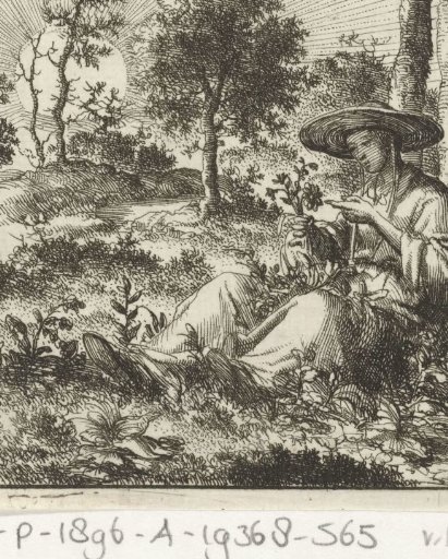 Woman examining flowers in the field