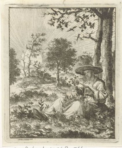 Woman examining flowers in the field