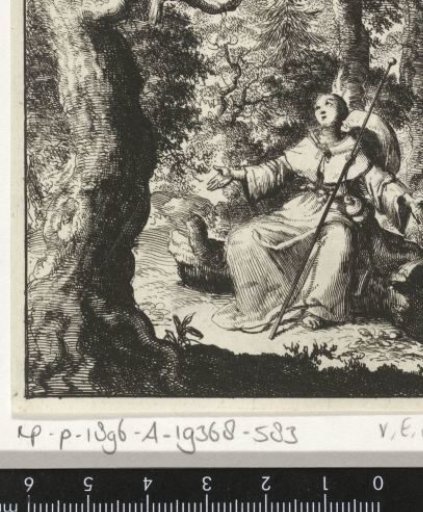 Female pilgrim sees a turtle dove in the forest