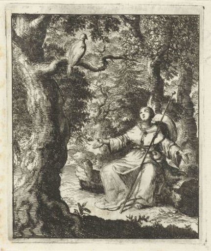 Female pilgrim sees a turtle dove in the forest