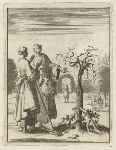 Two women looking at a tree planted with its roots upwards
