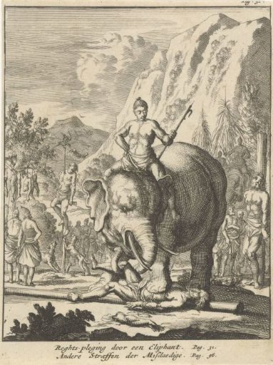 Elephant tramples a criminal