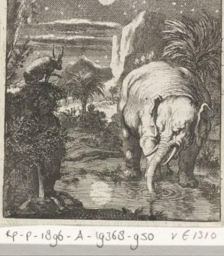 Hare and elephant with full moon at a water source