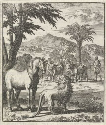 Young lion in conversation with a horse