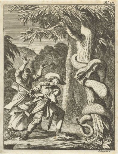 Giant serpent, coiled around a tree, attacked by a man with an axe