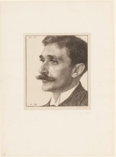 Portrait of Willem Johannes Leyds