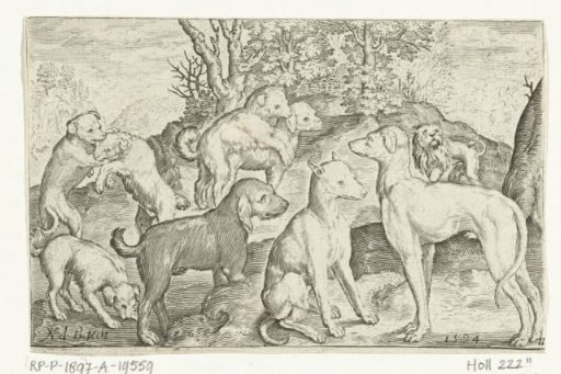 Nine dogs