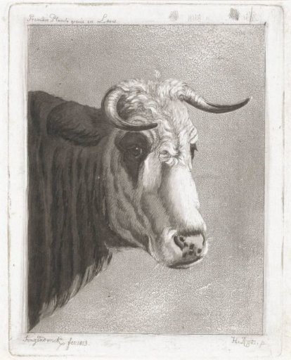 Cock's head