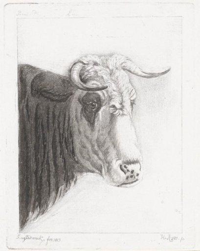 Cock's head