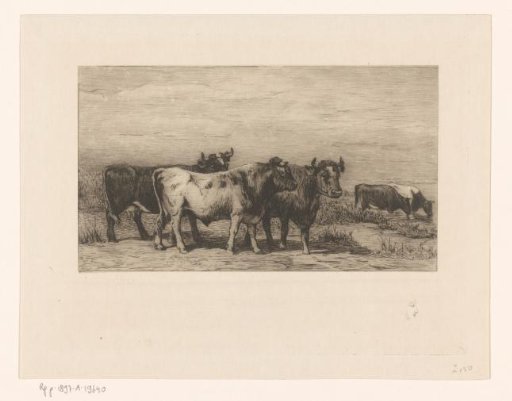 Landscape with cattle