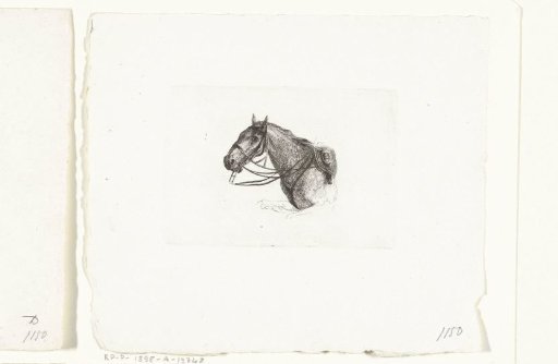 Horse's head, facing left