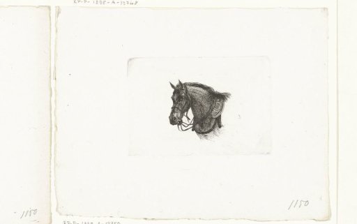 Horse's head in a slightly bent posture facing left