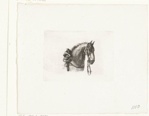Horse's head, facing right