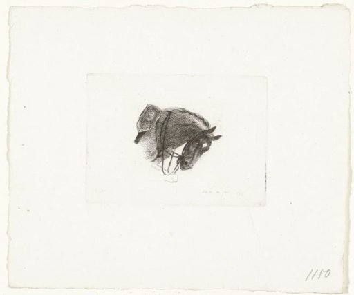 Horse's head in a bent posture, facing right