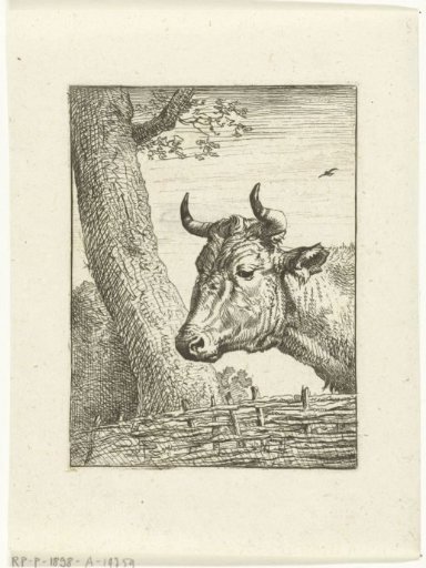 Cow's head to the left