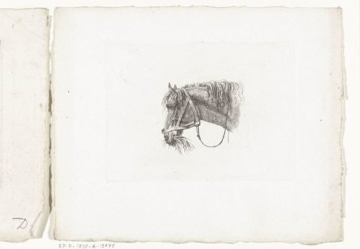 Horse's head with straw in the mouth, facing left