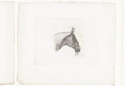 Horse's head with head covering, facing right