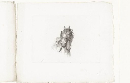 Horse's head with bit, seen from the front