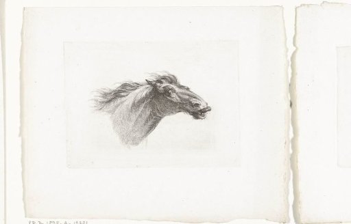Horse's head, facing right