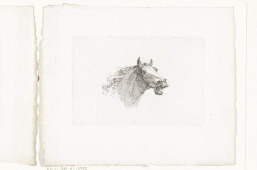 Horse's head with open mouth, facing right