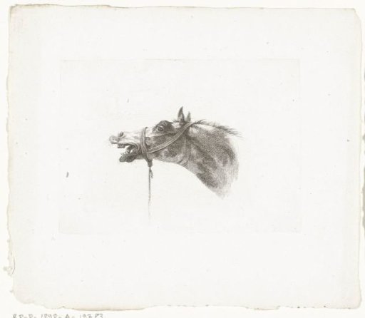 Horse's head with open mouth, facing left