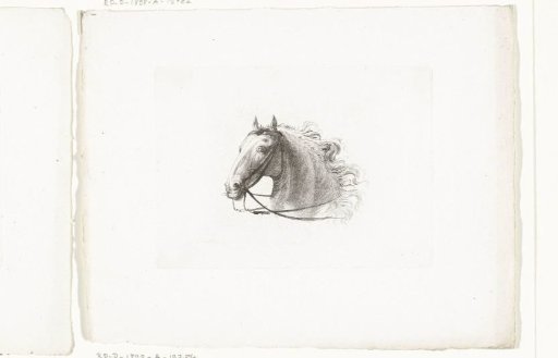 Horse's head facing left