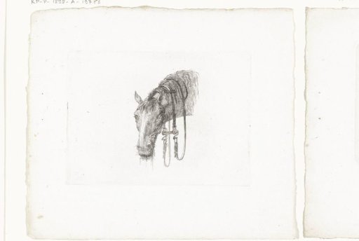 Horse's head with hanging reins, seen from the front