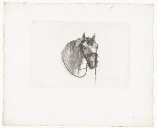 Horse's head, slightly to the right