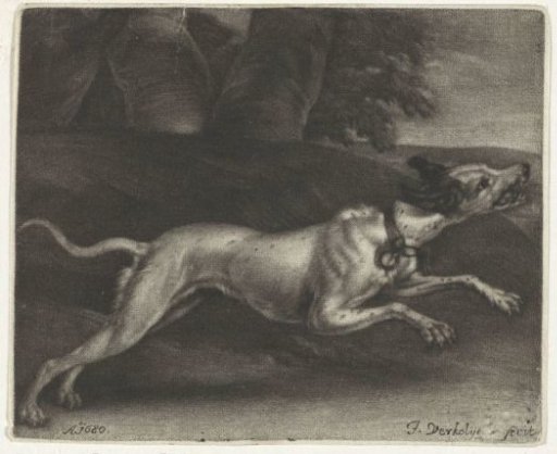 Running Dog