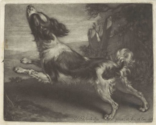 Running Dog, Possibly a Spaniel