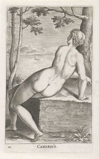 Water Nymph Camerina