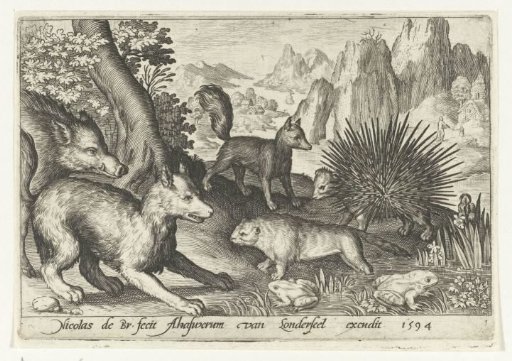 Wild boar, foxes, beaver, porcupine and frogs