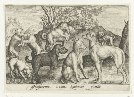 Nine dogs