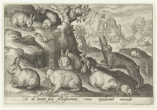 Rabbits, squirrel, guinea pig and mouse